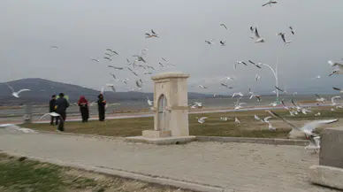 Konyalılar uyarıyı dikkate almadı: Göl kenarına akın ettiler