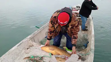 Konya'da balık tarımı yapılacak: Teşviklerde kadınlara aslan payı