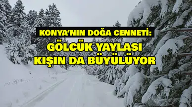 Konya’nın Doğa Cenneti: Gölcük Yaylası kışın da büyülüyor
