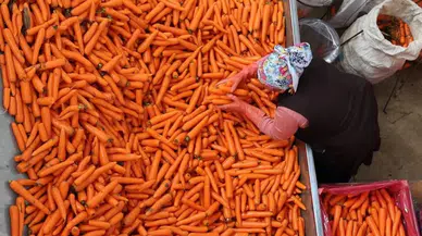 Konya’nın havucu ile meşhur mahallesinin planı değişti