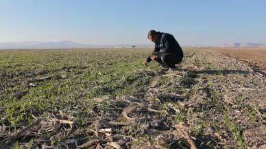 Konyalı çiftçilerden ortak ses: “Kuraklık zararları karşılanmalı”