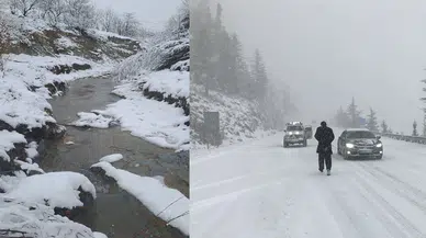 Konya Ovasının yıldızı Alacabel oldu: Yağış bereketi yaşanıyor