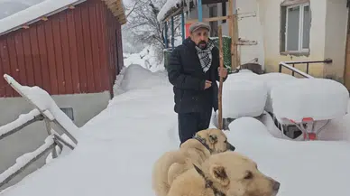 Eksi 39 derecede nasıl hayatta kalınır: Türkiye kar altında donuyor