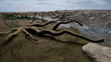 Milyonlarca yıl önce dünyada var olan ilk "şey" bulundu: 8 Metrelik canavar