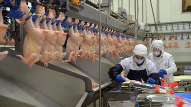 Beyaz ete de zam: Fiyatlarda yüzde 25 artış bekleniyor