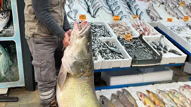Gölde yakalandı gören hayrete düştü: Kilosu 500 lira