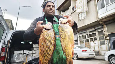 Ramazan'da balık yenir mi: O sazana ilgi yüksek