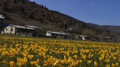 Konya’nın cennet köşesi rengarenk oldu: Toroslarda erken bahar