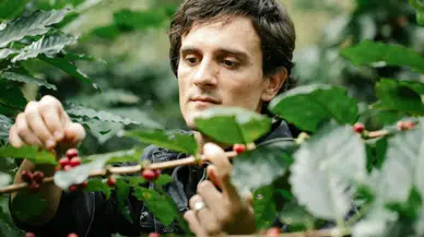 Kahve tiryakileri için kötü haber: Sıcaklıklar düşmüyor, fiyat yükseliyor