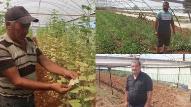 Konyalı çiftçilerden gıda enflasyonunu düşürecek öneri