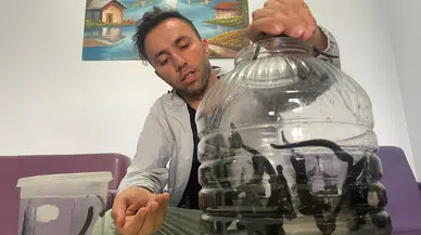 Kadınlar cilt güzelliğini onda arıyor: Mezbaha kanıyla besleniyorlar