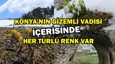 Konya'nın gizemli vadisi: İçerisinde her türlü renk var