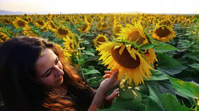 Konya ayçiçeğinde yüksek katma değer üretti: Tarım, gıda ve içecekte 27,79 milyar dolarlık ihracat