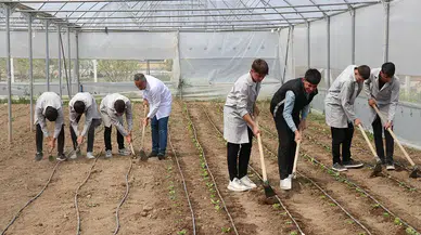 Konya'da kısa vadede yüksek kazanç getiren işler belirlendi
