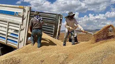 TMO'dan stoklarındaki ekmeklik ve makarnalık buğday satışı