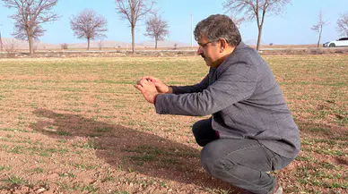 Konya'da azalan su kaynaklarına karşı sorgum hamlesi