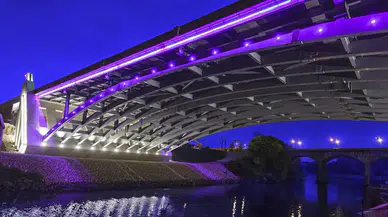 ABD’de buz hokeyi maçında silahlı saldırı: Ölü ve yaralılar var