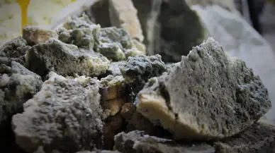 “Susatır” deseler de Konyalılar küflü peynirsiz sahur yapmıyor