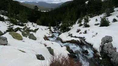 Konya'nın dört bir yanı umutla doldu: Göller doluyor ova hayat buluyor