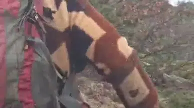 Şok oldu ne yapacağını şaşırdı: Kış uykusuna yatmayan o ayı