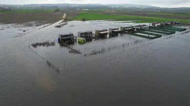 Göl yatağı arsa diye satıldı evler havuza döndü