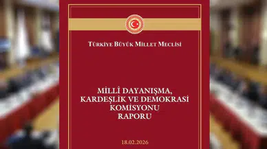 Milli Dayanışma, Kardeşlik ve Demokrasi Komisyonu raporu yayımlandı