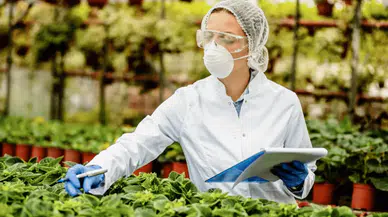 B-Reçete sistemi yaşam kurtaracak: Konya'daki gıda üreticileri için yeni dönem