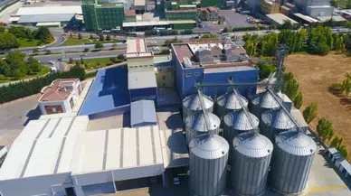 Türkiye'nin yeni ekmeği tarımın başkenti Konya’da geliştirildi