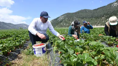 Konyalı çiftçiler: Tarım savunma sanayii kadar hayati önemde