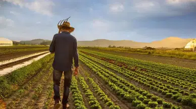 Konya çiftçisi için müjdeli haber: Tarımsal destek ödeme tarihi belli oldu