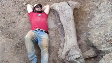 Dev dinozor türü keşfedildi. Bir kemiği bile insan boyunda