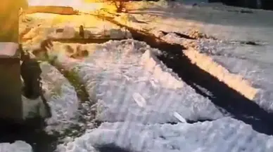 Kurt sürüsünü kürekle daldı: Dünya bu görüntüyü konuşuyor