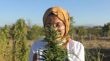 Konya'nın yasağı kalkmıştı: Üretimde yeni lider olması bekleniyor