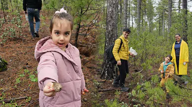 Konya'nın dağlarında yetişiyor: Kilosu 3 bin TL'den satılıyor