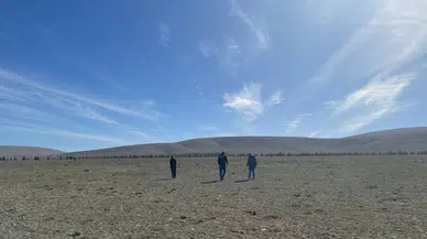 Konyalıların popüler yiyeceği oldu: Bastonu kapan aramaya çıkıyor
