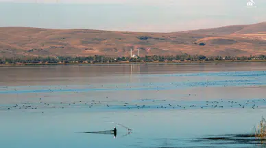 Konya'nın meşhur gölü için kritik adım: Sulama faaliyetleri yasaklandı