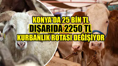 Konya'da 25 bin TL dışarıda 2250 TL: Kurbanlık rotası değişiyor