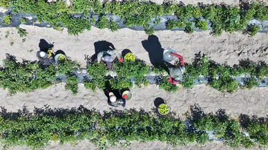 Konyalı vatandaşlar bu seti ücretsiz alıyor: 12 farklı ürün dağıtılıyor