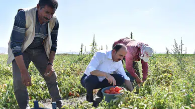 Konya üretimde zirveye yerleşti: Çiftçilere büyük destek sağlandı