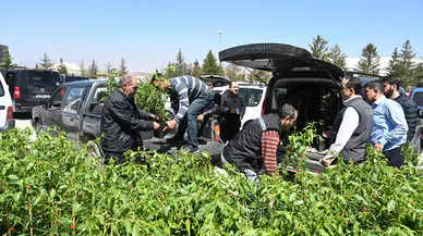 Konyalı çiftçilere meyve fidanı desteği: Antep fıstığı, cennet hurması..