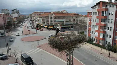 Konya'nın leylekleri direkteki yuvalarına geldi