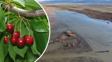 Konya'nın hikayesi ile bilinen gölü yeniden doğuyor: Kiraza umut oldu