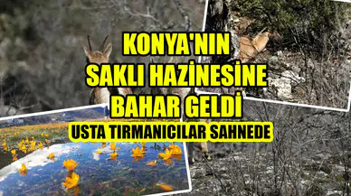Konya'nın saklı hazinesine bahar geldi: Usta tırmanıcılar sahnede