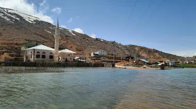 Konya'nın eşsiz yaylaları: Dedemli Yağlıpınar mest ediyor
