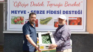 Konya'da belediye tam 72 bin fide dağıtıyor: Kutu kutu alıyorlar