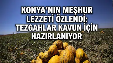 Konya’nın meşhur lezzeti özlendi: Tezgahlar kavun için hazırlanıyor