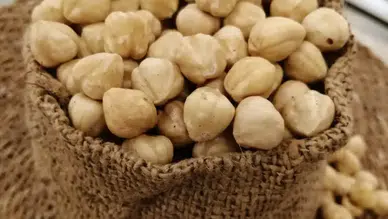 Fındık da zengin sofrasını süslüyor: Fiyatı el yakıyor