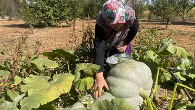 En küçüğü torunu kadar: Şaşırıp kaldılar