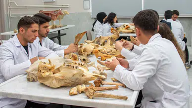 Konya'da Veteriner Fakültesi'nin yeni derslikleri açıldı