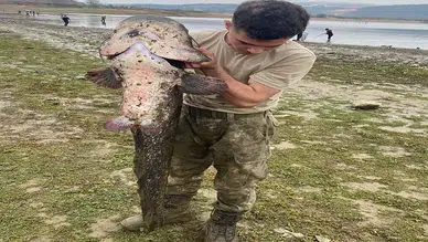Tepkiler yükseliyor: Baraj kuruyunca dev balık avına çıktılar